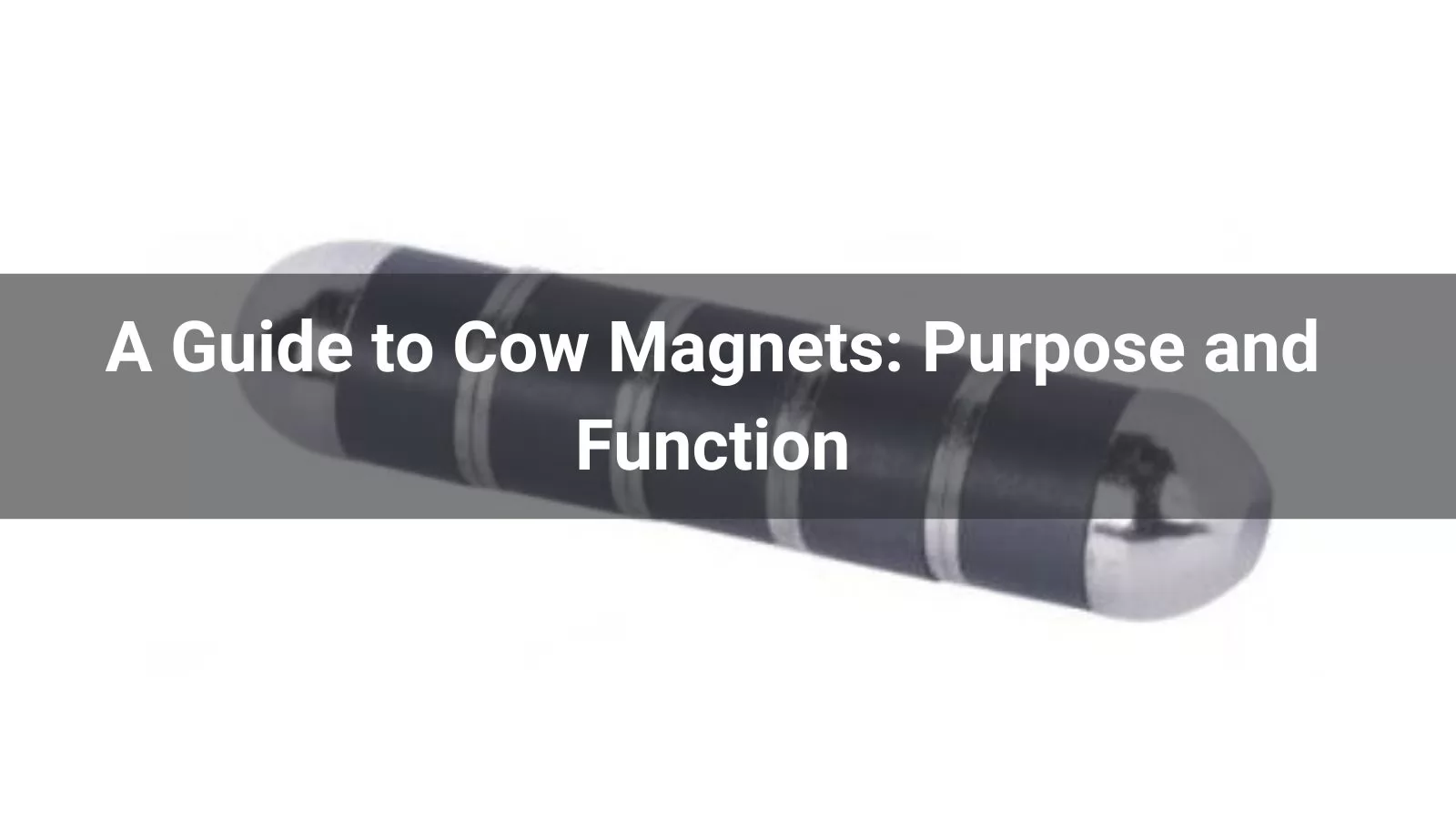A Guide to Cow Magnets: Purpose and Function