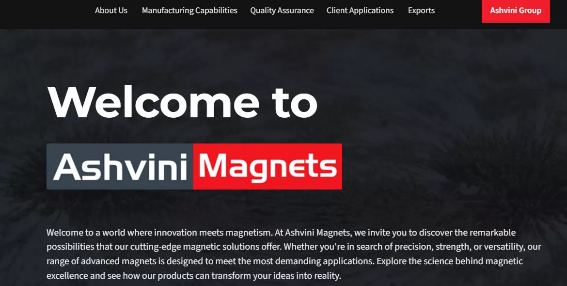 Magnetek Industries Magnet Manufacturers in  India