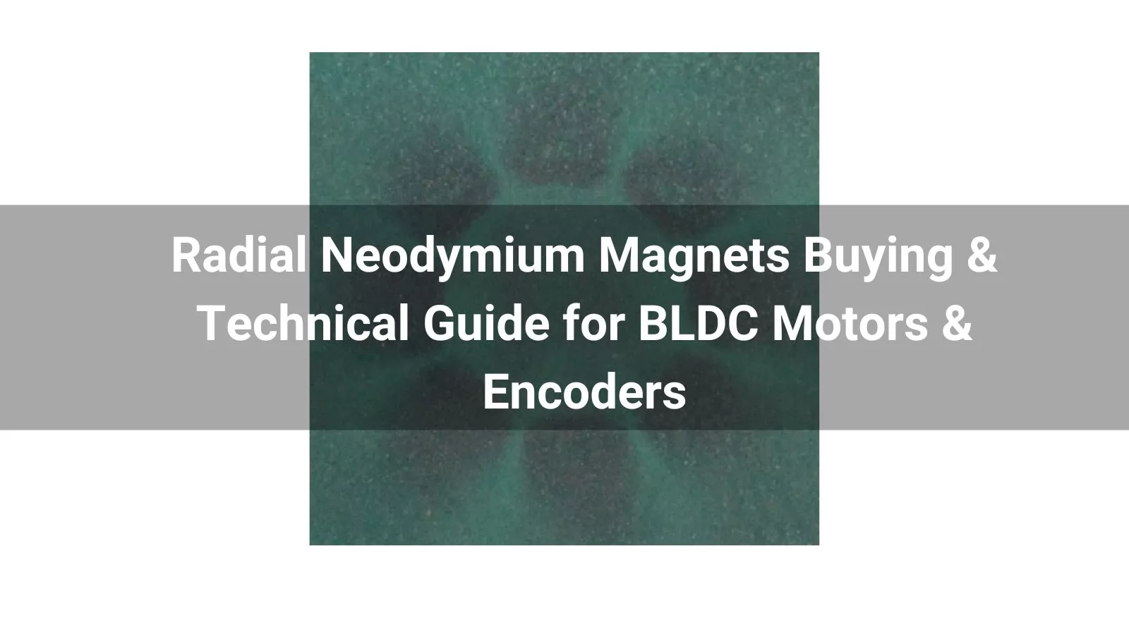 Radial Neodymium Magnets